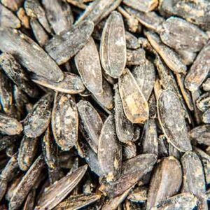 Hλιόσπορος ψημένος με αλάτι