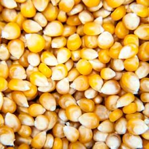 Καλαμπόκι Ποπ Κορν