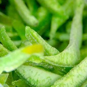 Κίτρο Αποξηραμένο