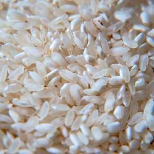 Ρύζι Καρολίνα