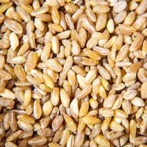 Σιτάρι για βράσιμο