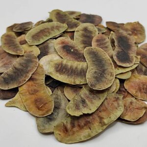 Φύλλα Αλεξανδρείας