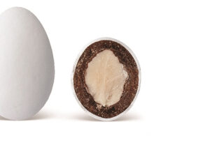 Κουφέτα Σοκολάτας My Choco Διάφορες Γεύσεις