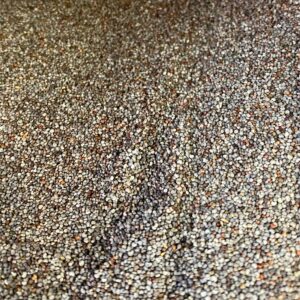 παπαρουνόσπορος