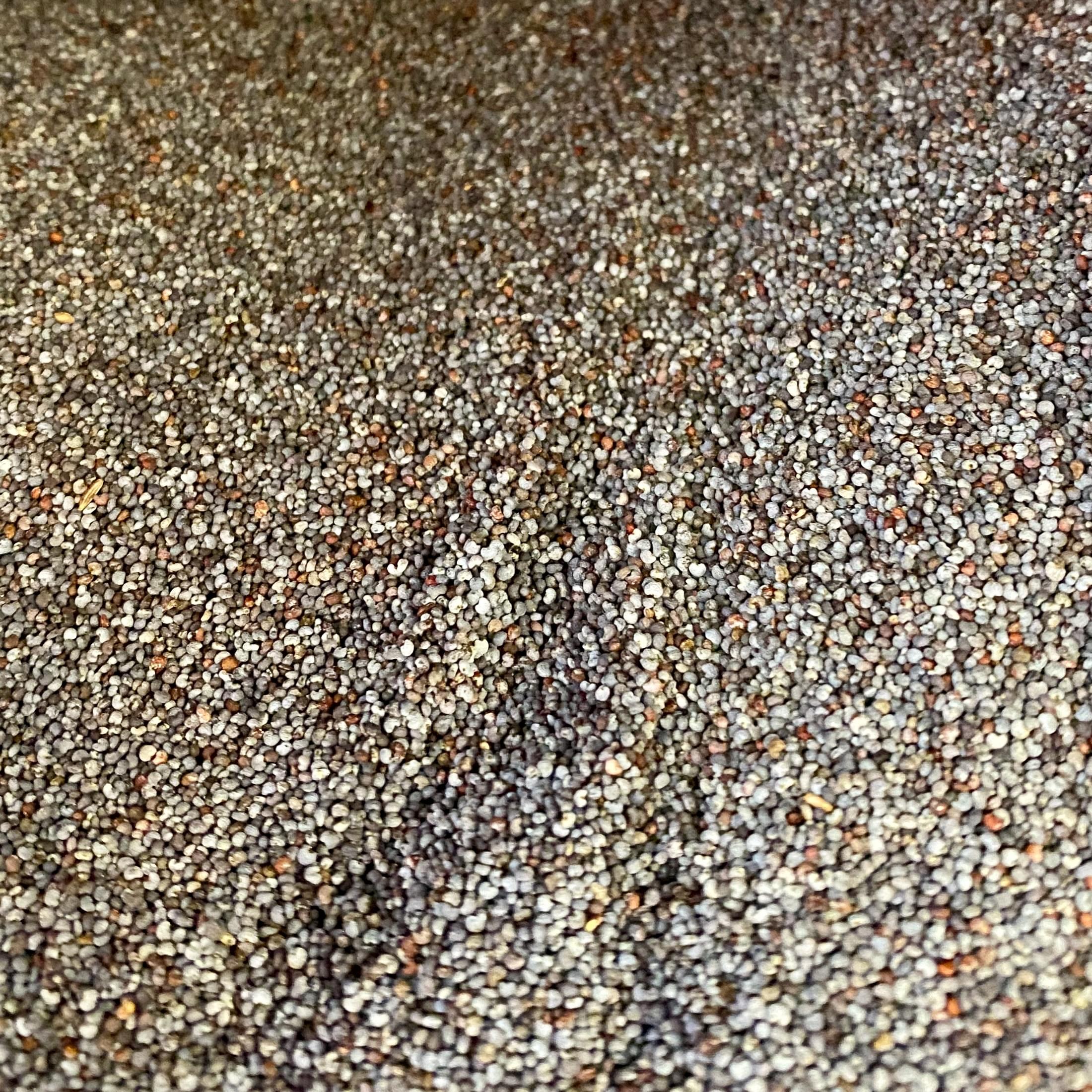 παπαρουνόσπορος