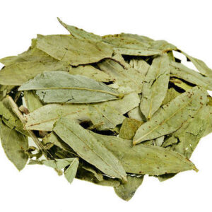 Φύλλα Σιναμικής