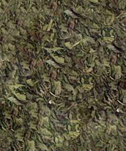 Μέντα τριμμένη Τσάι