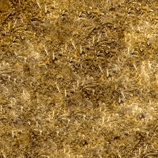 Σπαθοχορτο Τριμμενο